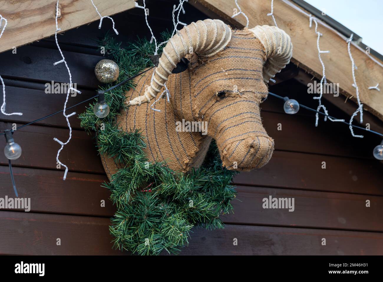 Ripieno bovino decorazione natale esposizione appeso su un muro di legno  capannone durante la stagione festiva celebrando la natività di Gesù  Cristo, stoc Foto stock - Alamy