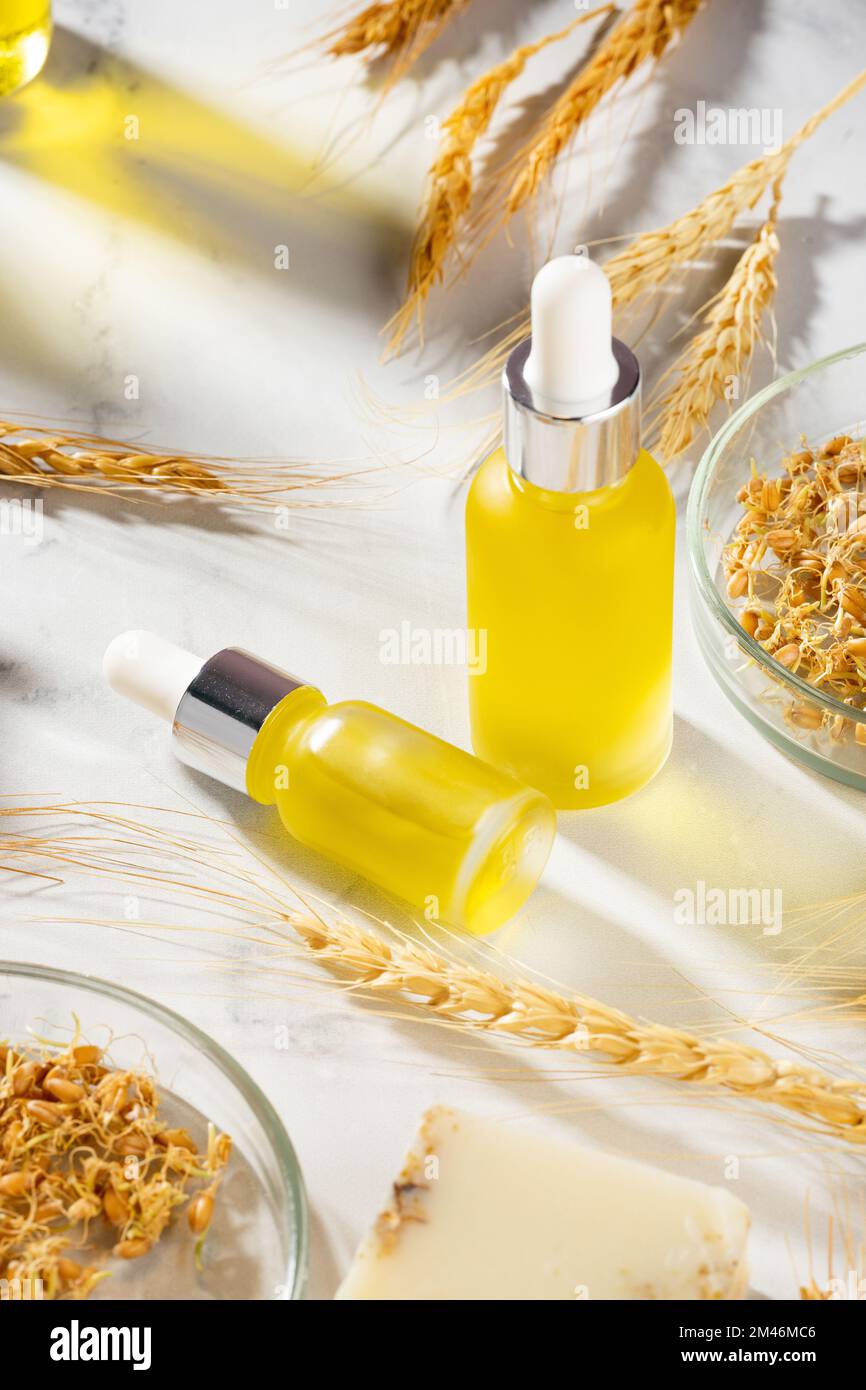 Composizione concettuale di oli essenziali di grano e germe di grano su una  tavola di marmo. Olio con siero per la cura della pelle e dei capelli.  Bottiglie di olio per il