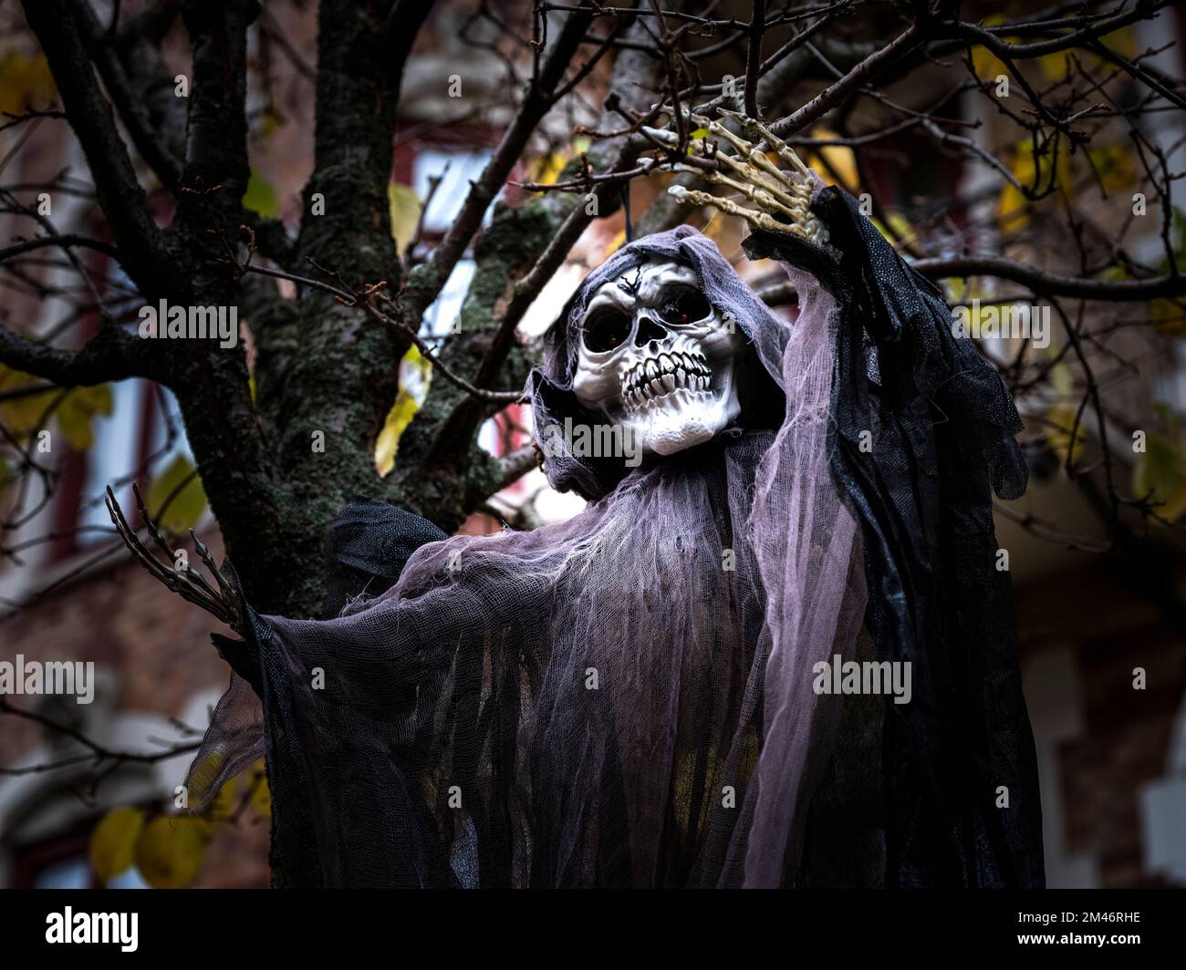 Costume spaventoso sull'albero Foto Stock