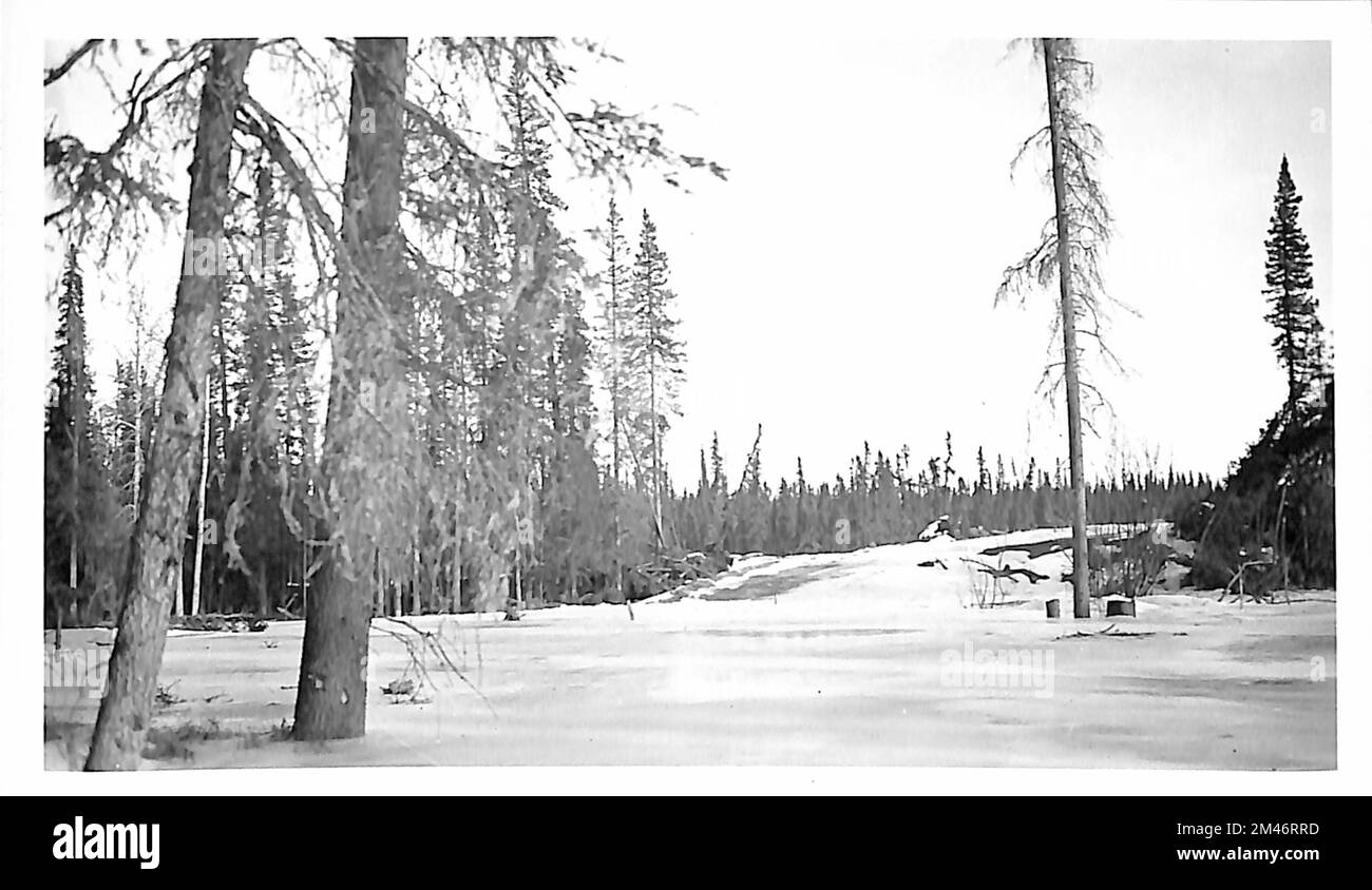 Alaska Highway. Didascalia originale: Foto No. 2/ Fr. No. 3005 Berry Creek Station 1093 'P' Mile No. 1948,5. Stato: Alaska. Foto Stock