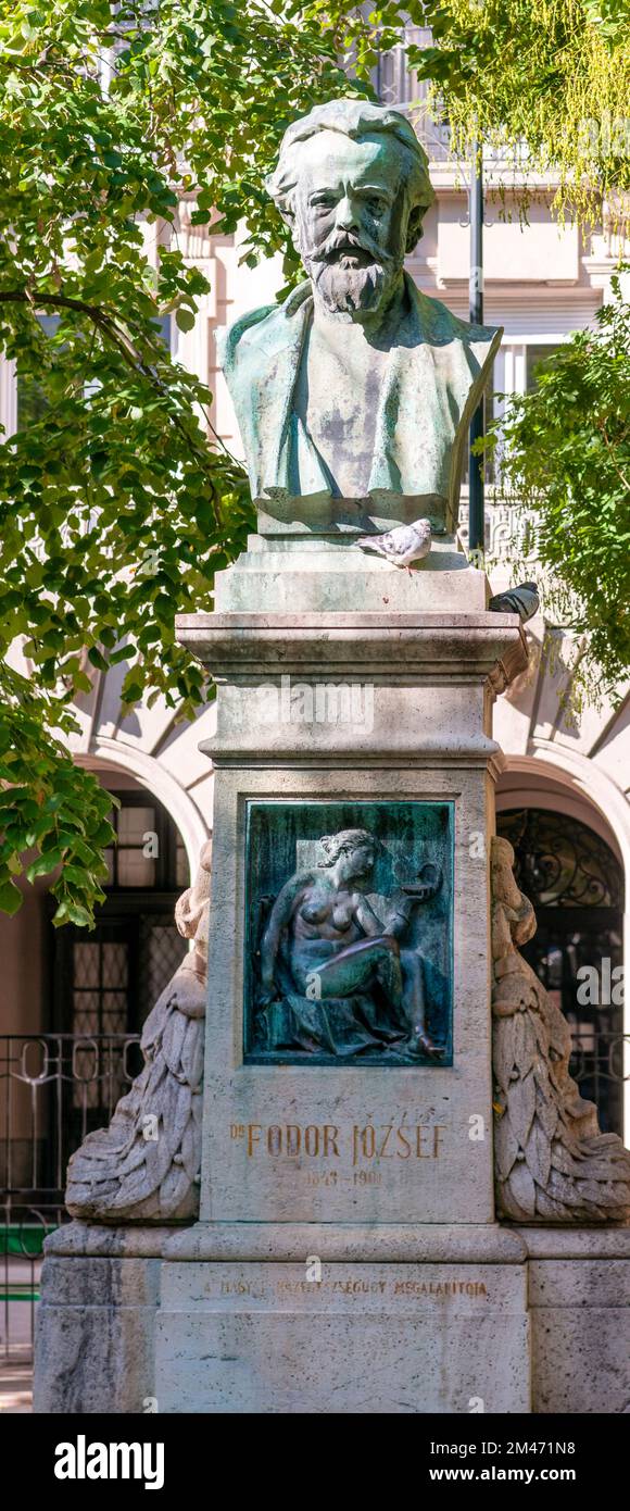 Statua di Josef von Fodor [Fodor József] (16 luglio 1843 – 19 marzo 1901) professore ungherese di igiene e pioniere della sanità pubblica. Foto Stock