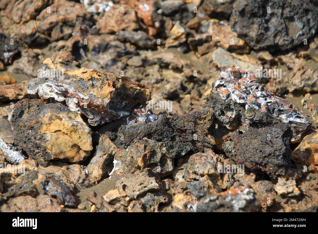 Paesaggio vulcanico delle isole Galapagos Foto Stock