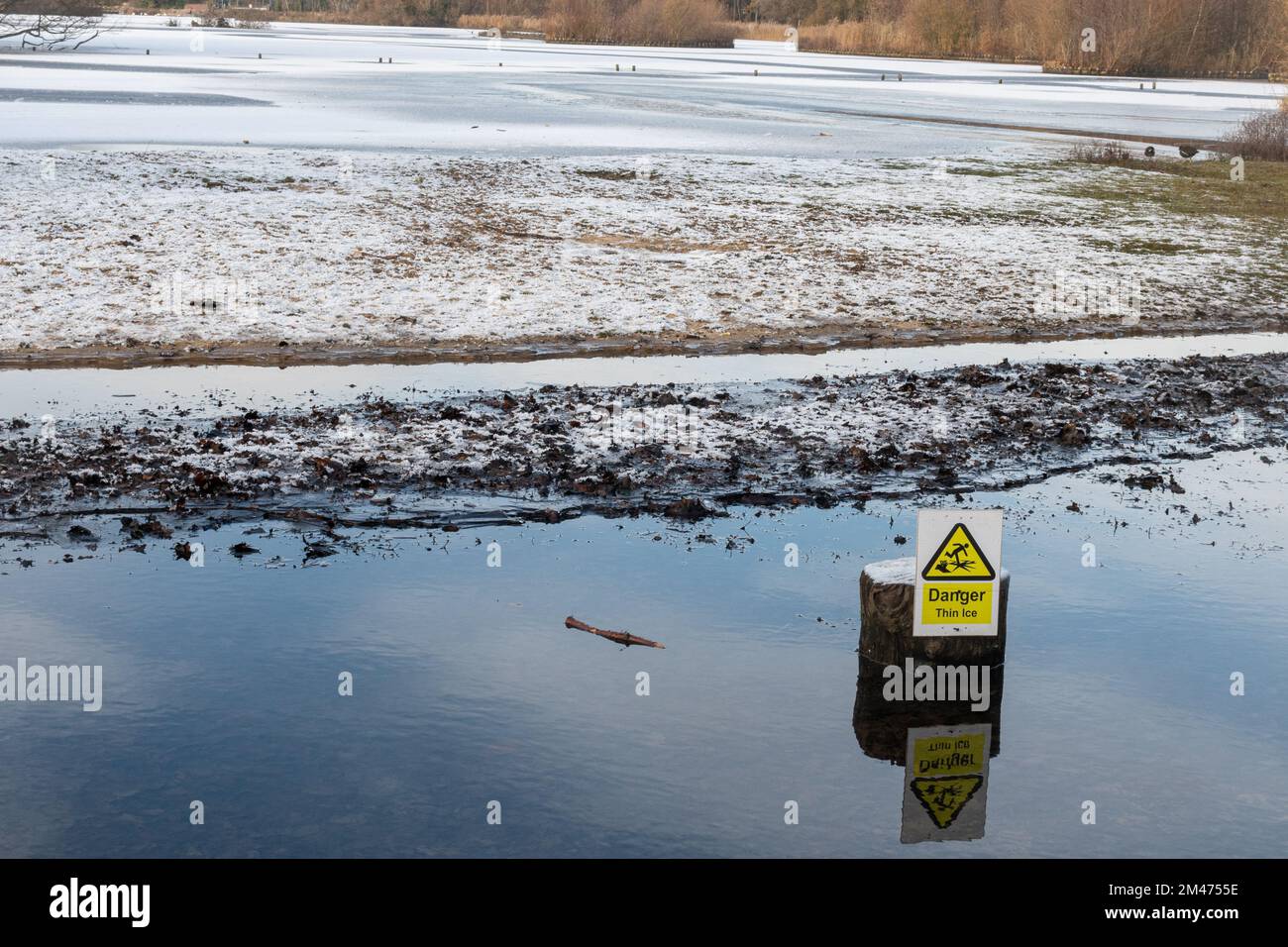 Pericolo Thin Ice segnali di avvertimento accanto a un lago congelato, Fleet Pond, Hampshire, Inghilterra, Regno Unito Foto Stock