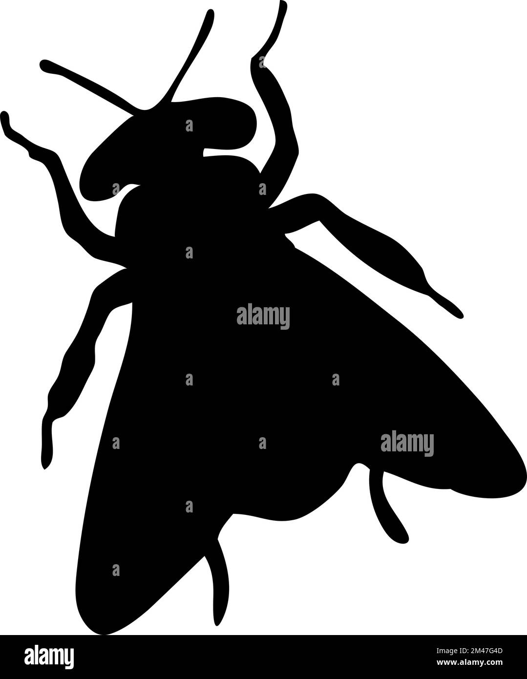 Silhouette di mosca. Primo piano dettagliato. Icona Vector fly su sfondo bianco. Illustrazione Vettoriale