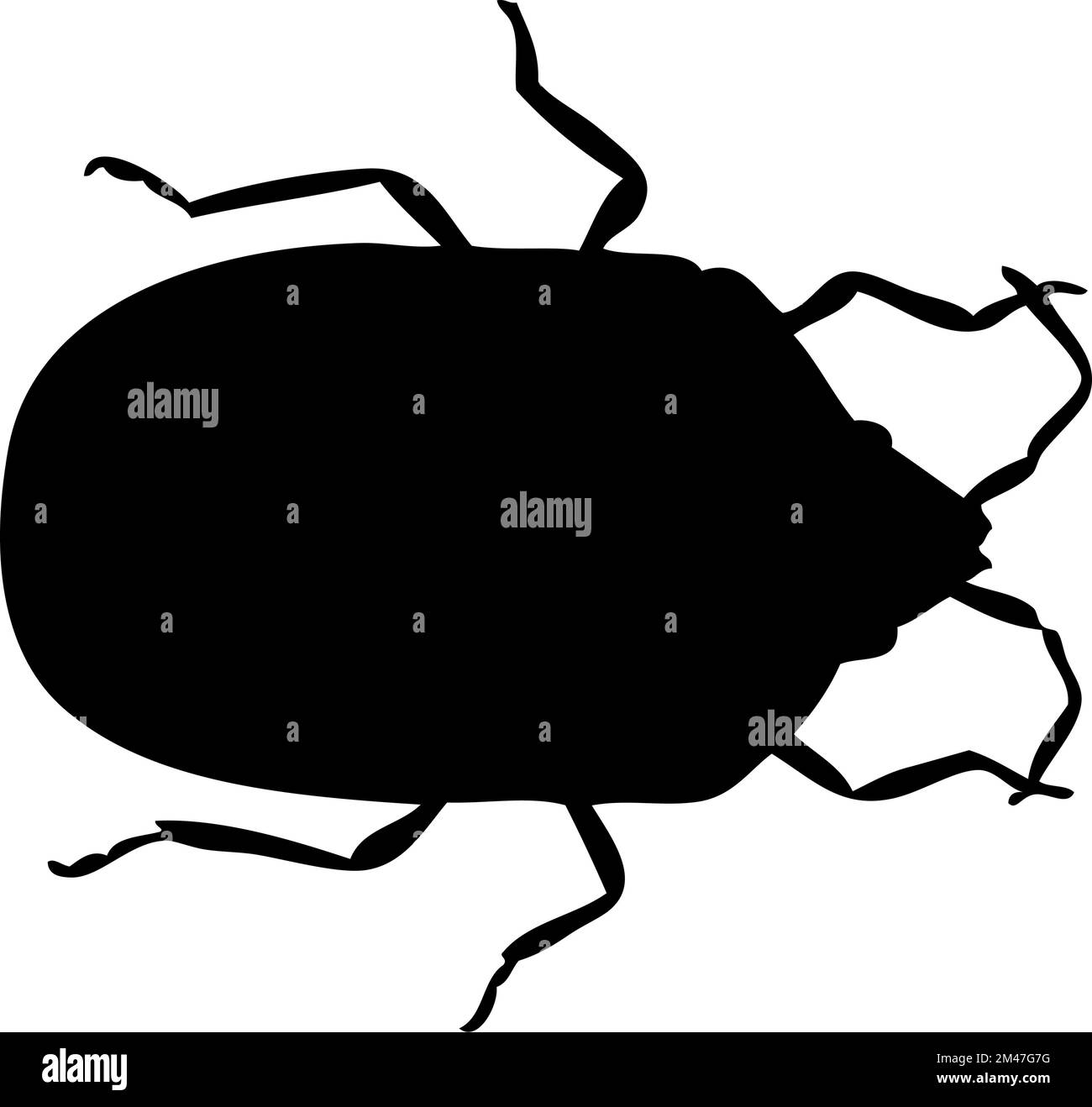 Silhouette di bug. Dettaglio primo piano bug. Icona di bug vettoriale su sfondo bianco. Illustrazione Vettoriale