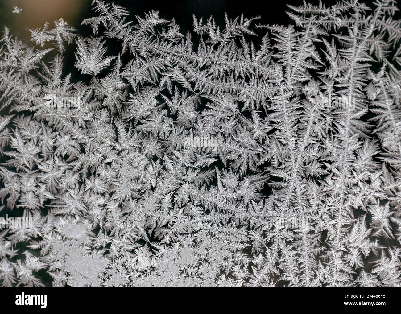Motivo naturale gelido in corrispondenza della finestra coperta da brina. Concetto di fenomeno naturale. Astratto sfondo natura. Foto Stock