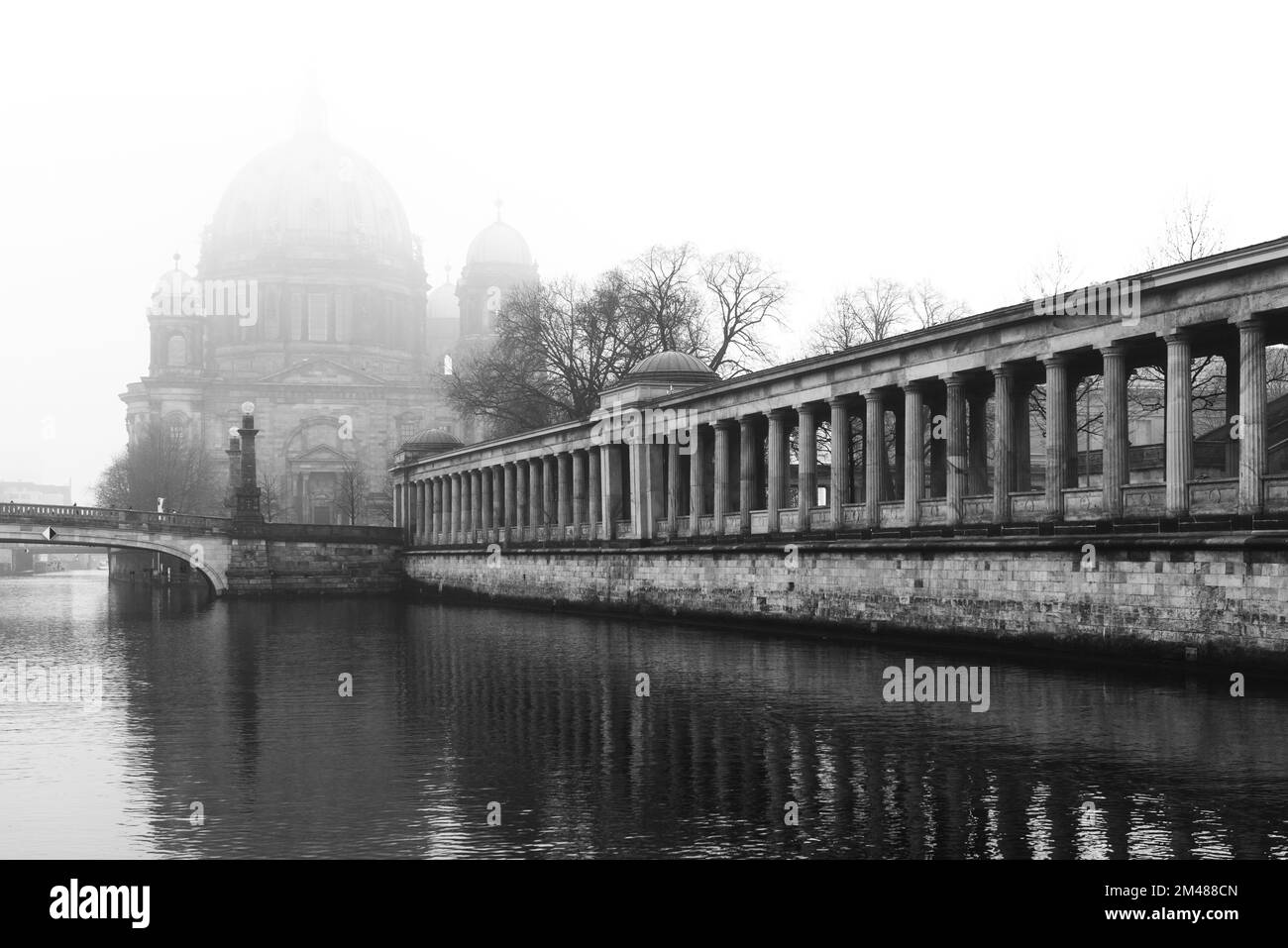 Bode Museum sull'isola dei musei vicino al fiume Sprea a Berlino, Germania Foto Stock