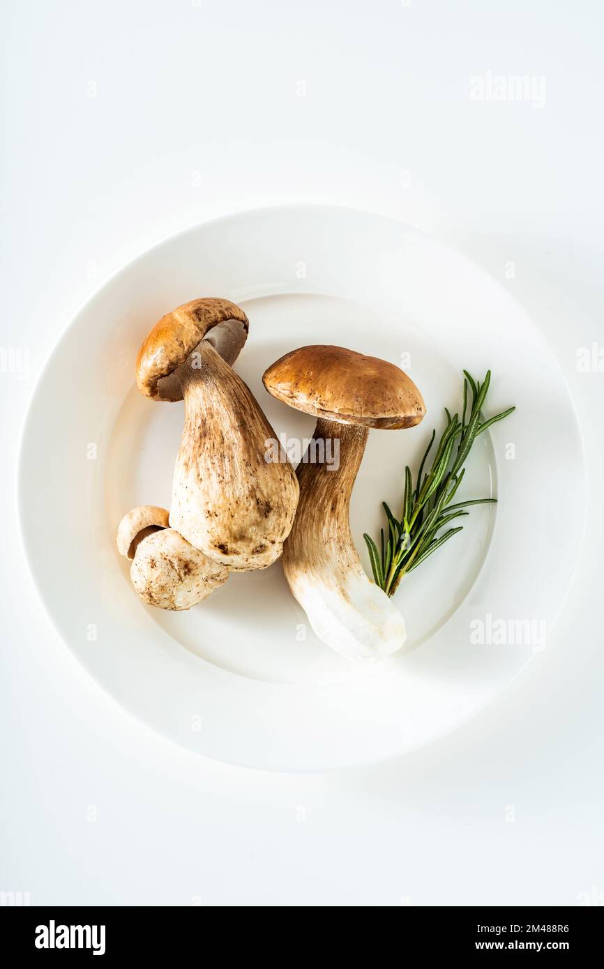 funghi porcini su piatto bianco. riprese in studio Foto Stock