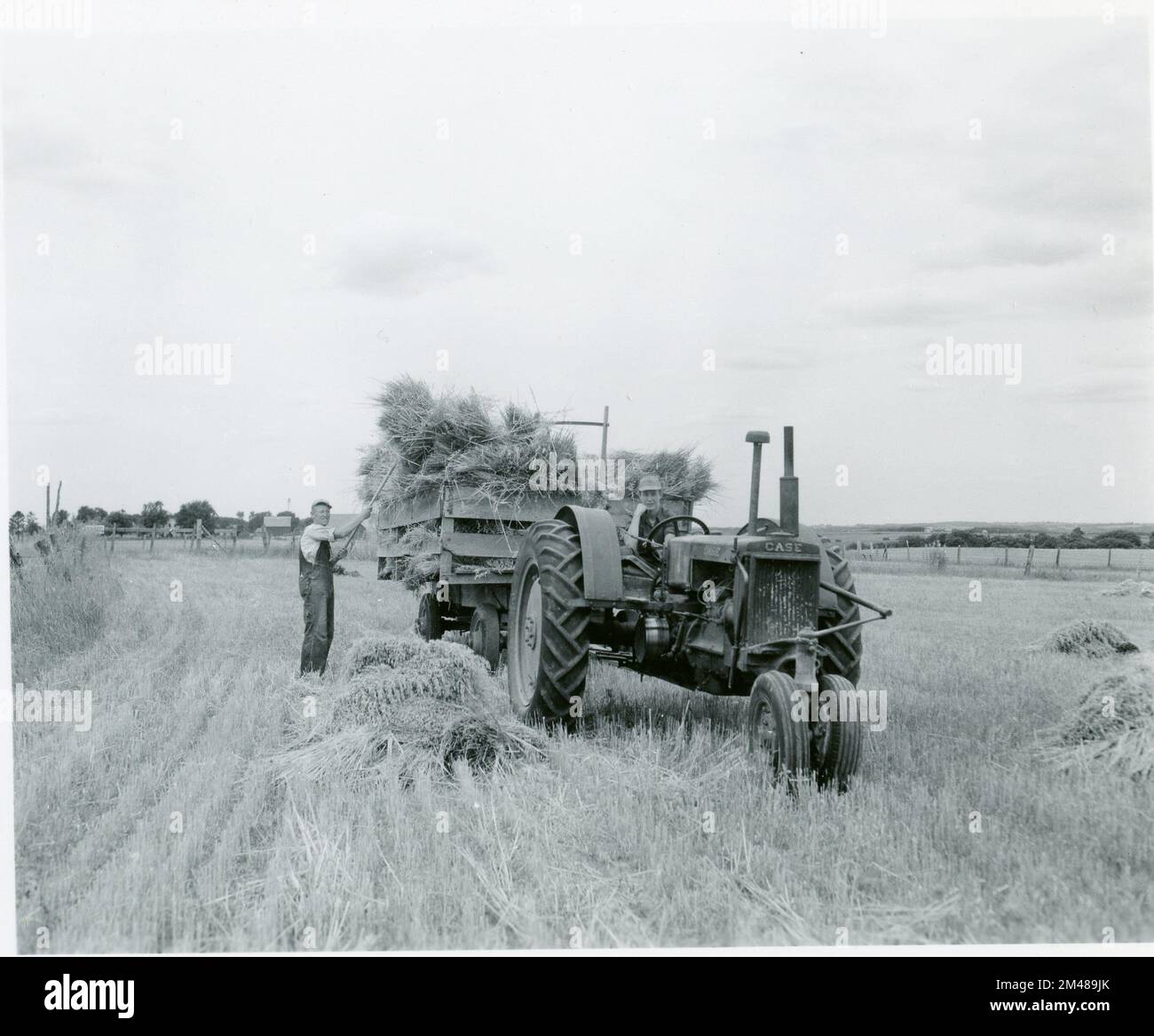Farmers Hauling avena da campo. Didascalia originale: Contadini che trasportano avena da campo vicino Epworth, Iowa. Foto di T. W. Kines, 6 agosto 1948. Stato: Iowa. Foto Stock