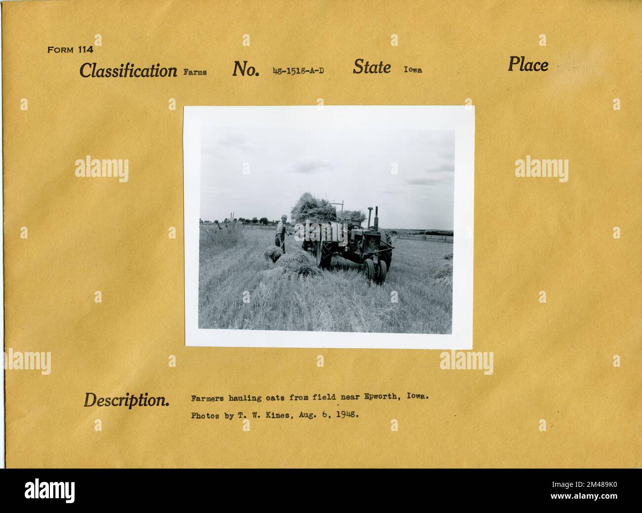 Farmers Hauling avena da campo. Didascalia originale: Contadini che trasportano avena da campo vicino Epworth, Iowa. Foto di T. W. Kines, 6 agosto 1948. Stato: Iowa. Foto Stock