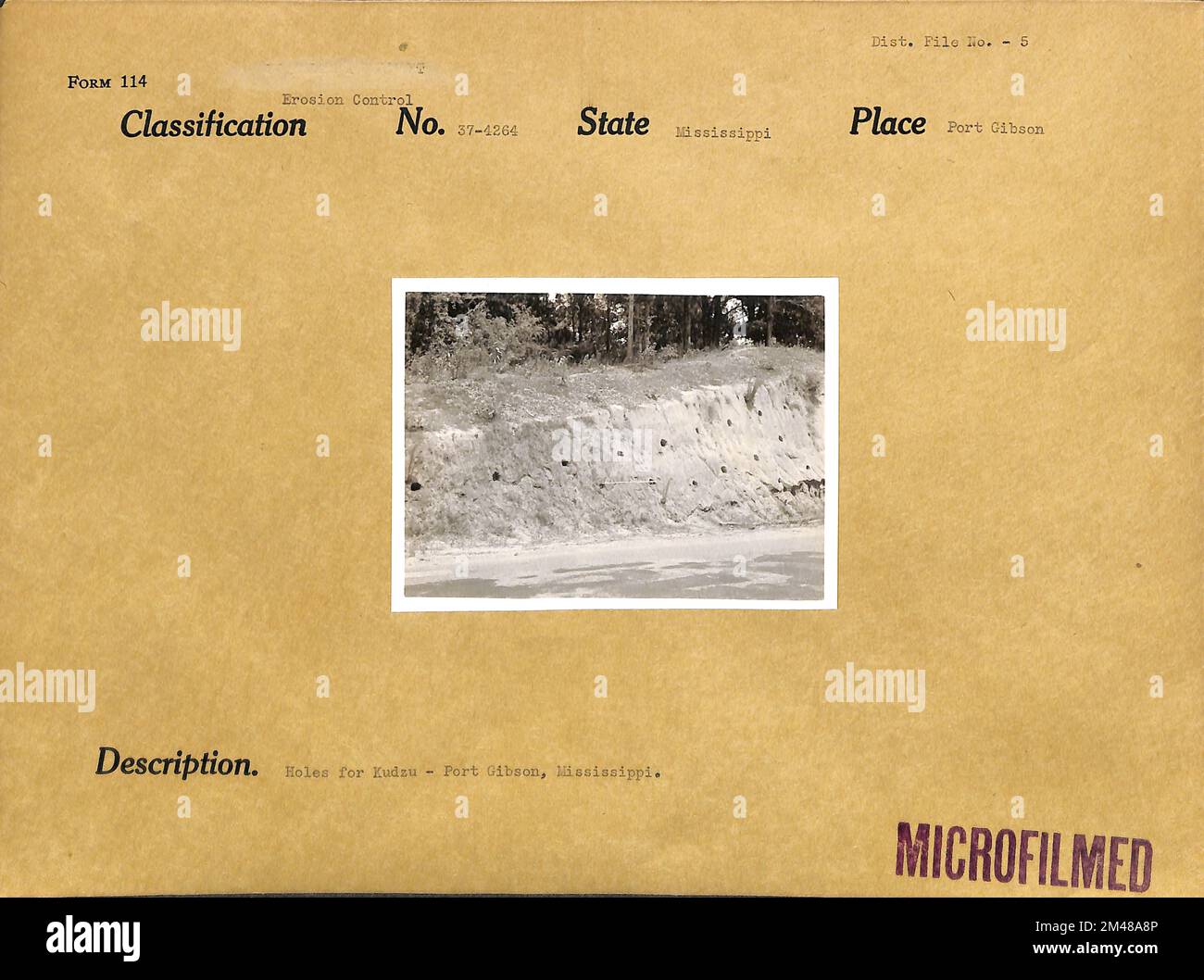 Buche per Kudzu, Port Gibson, Mississippi. Stato: Mississippi. Località: Port Gibson. Foto Stock