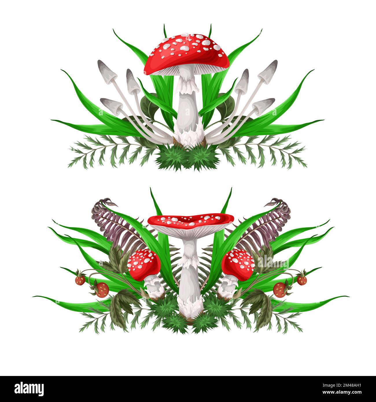 Composizioni con Fly agarics, funghi, e piante isolate. Vettore. Illustrazione Vettoriale