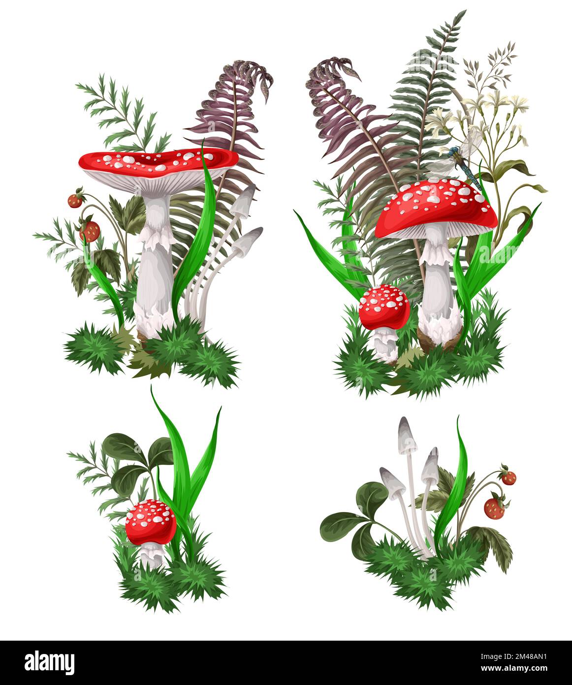 Composizioni con Fly agarics, funghi, e piante isolate. Vettore. Illustrazione Vettoriale