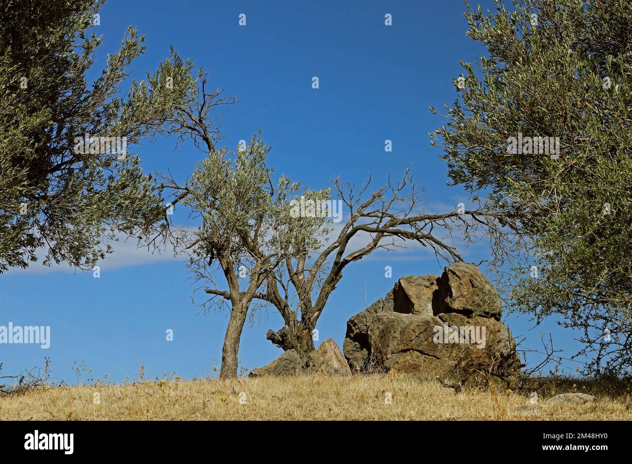 Interessante forma rock contro skyline, Lesbos, preso settembre / ottobre 2022.. Foto Stock