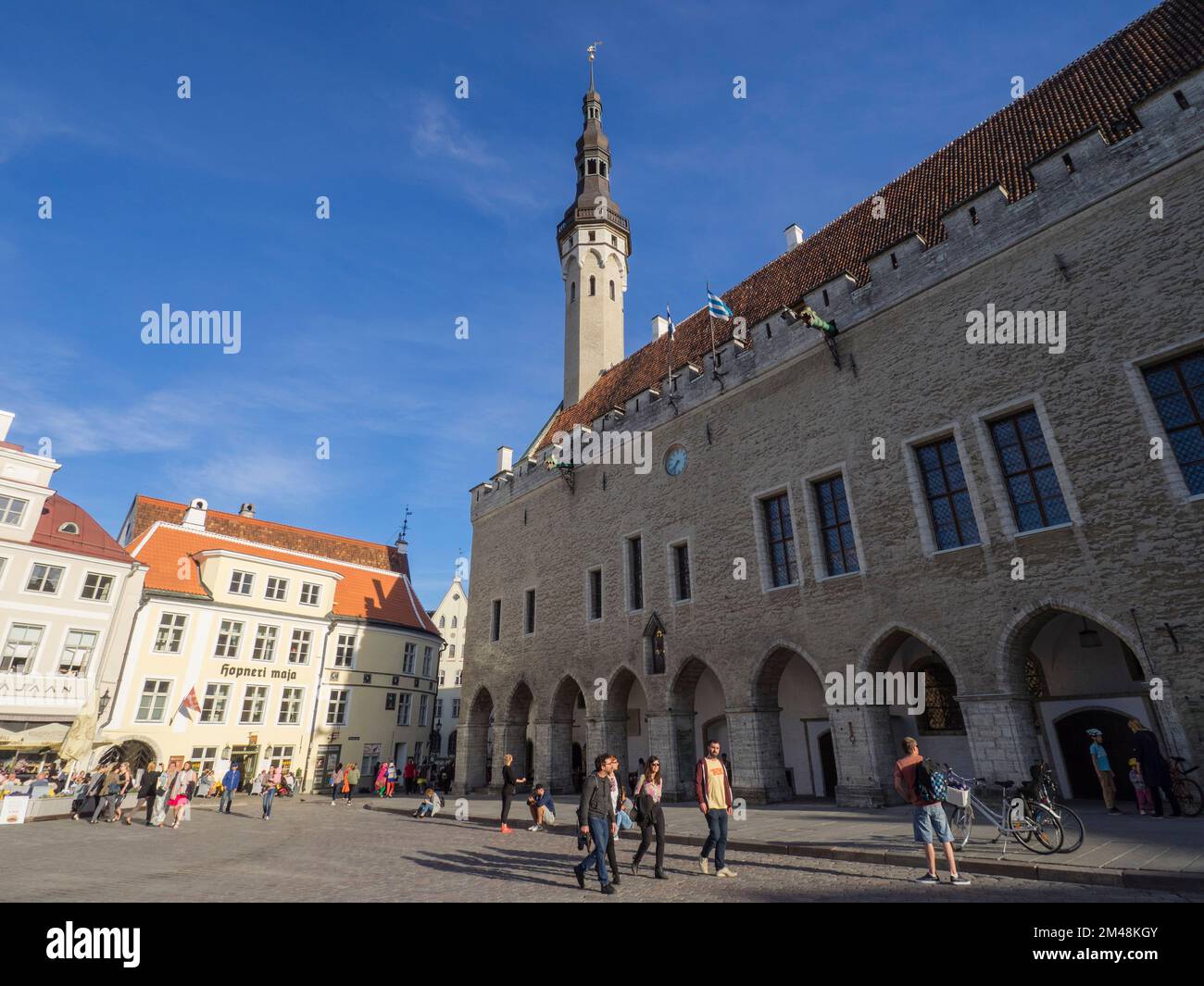 Municipio, Piazza del Municipio, Tallinn, Estonia, Stati baltici, Europa Foto Stock