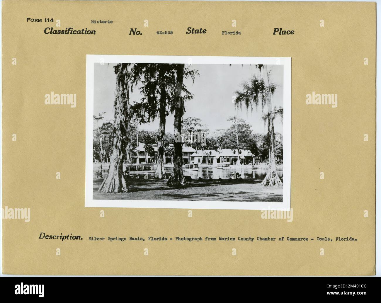 Silver Springs Basin, Florida. Didascalia originale: Silver Springs Basin, Florida - Fotografia dalla Camera di Commercio della contea di Marion - Ocala, Florida. Stato: Florida luogo: Ocala. Foto Stock