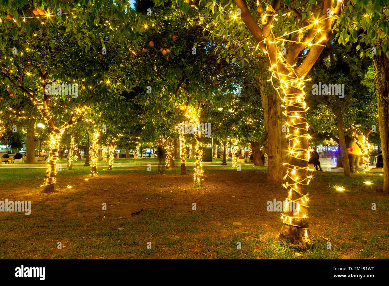 Decorazione natalizia tra gli alberi di piazza Syntagma, nella città di Atene, capitale della Grecia, Europa. Foto Stock