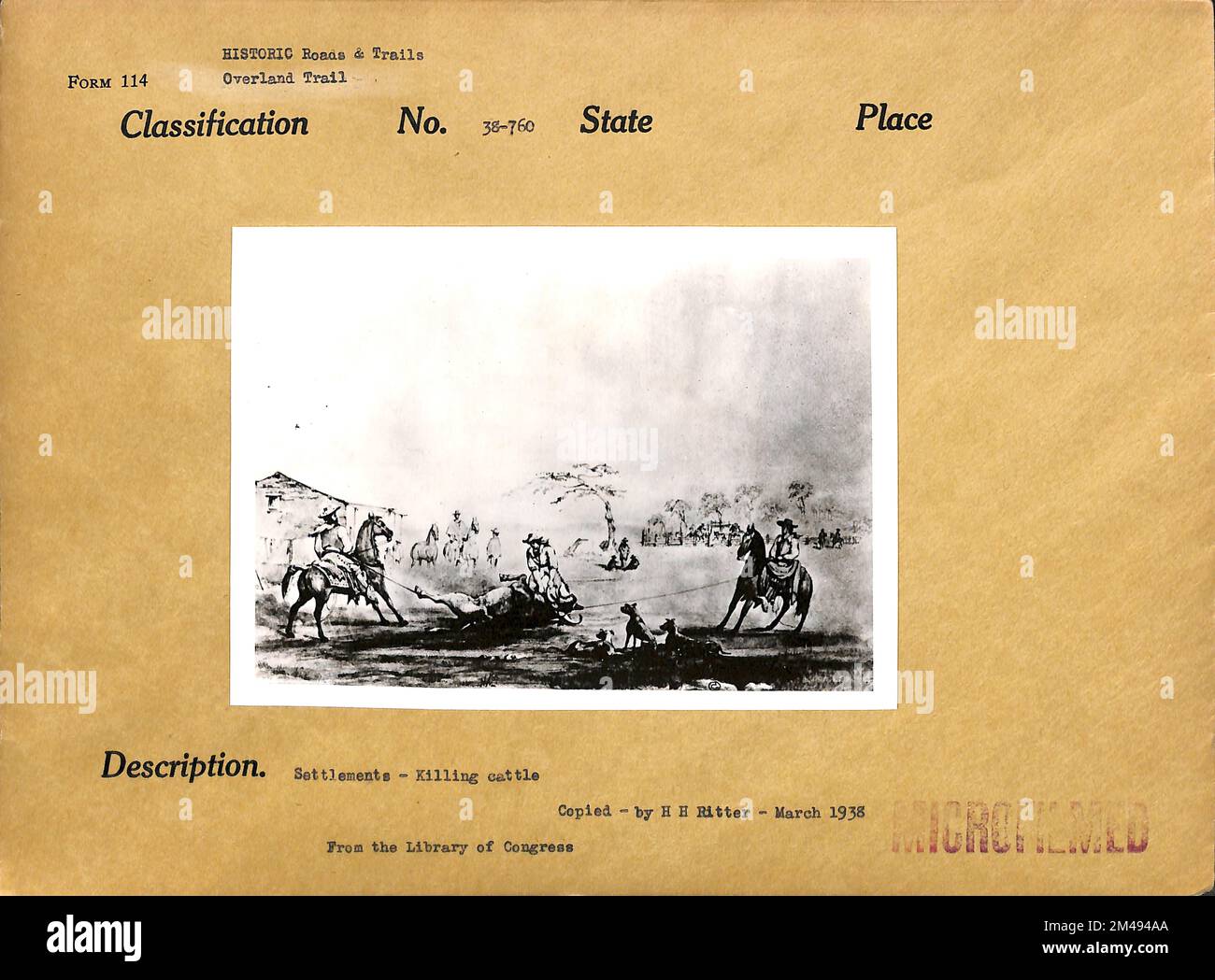 Insediamenti, uccidendo bestiame bovino. Didascalia originale: Insediamenti - uccisione di bovini. Dalla Biblioteca del Congresso. Copiato da H. H. Ritter - Marzo 1938. Foto Stock