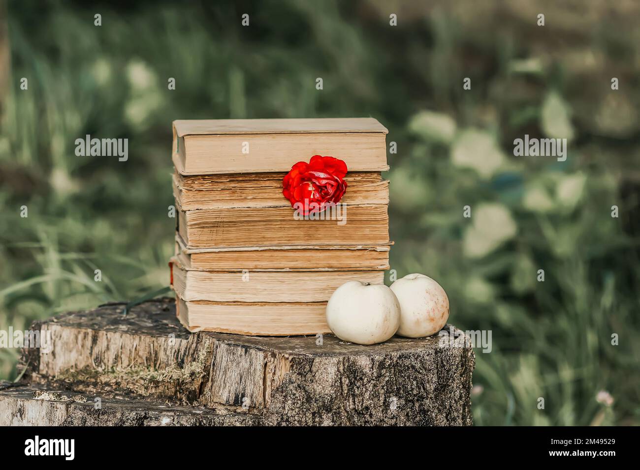 Carta d'epoca con una pila di libri antichi, mele da giardino fresche e fiori di rosa su un ceppo di alberi in un parco estivo. Foto Stock