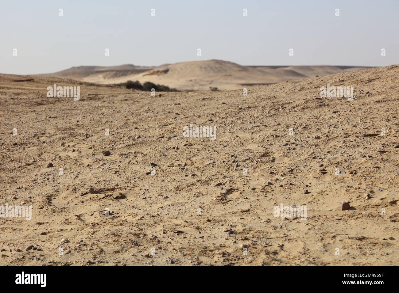 Deserto, sabbia e colline Foto Stock