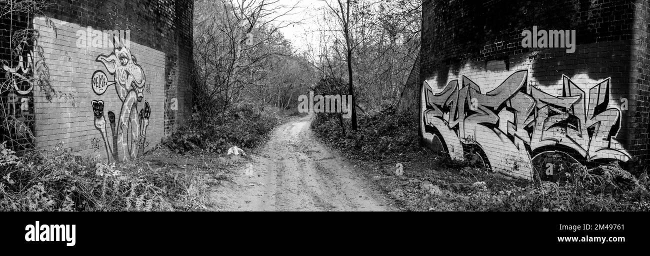 Muro graffiti e volate ribaltando all'interno di un tunnel di strada abbandonato. Foto Stock