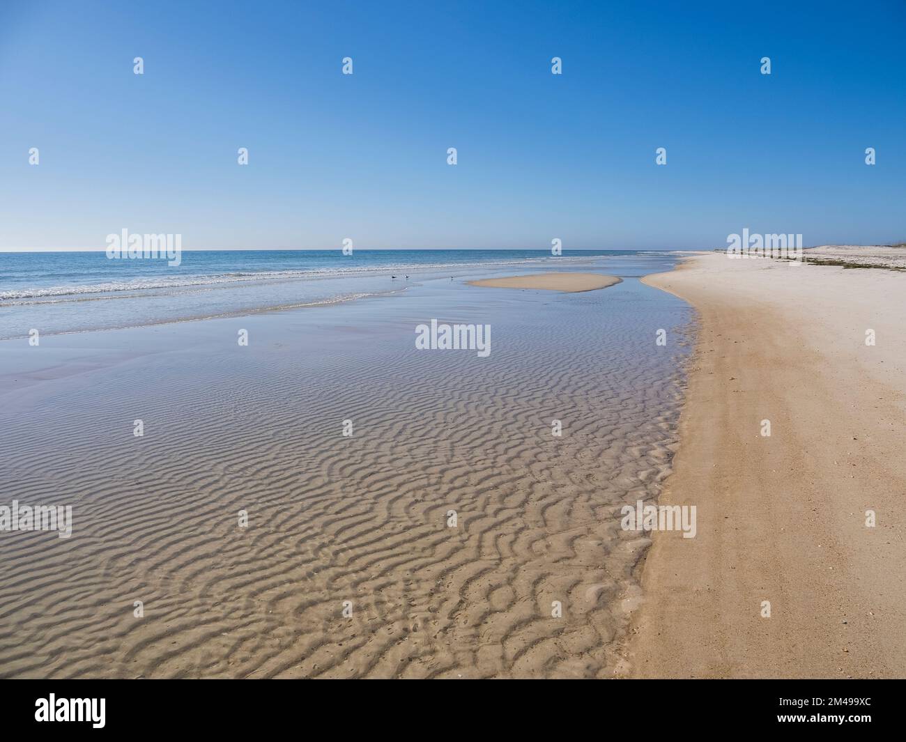 Calmo cielo blu giorno d'estate sulla spiaggia del Golfo del Messico sull'Isola di St George nel panhandle o Forgotten Coast area della Florida negli Stati Uniti Foto Stock