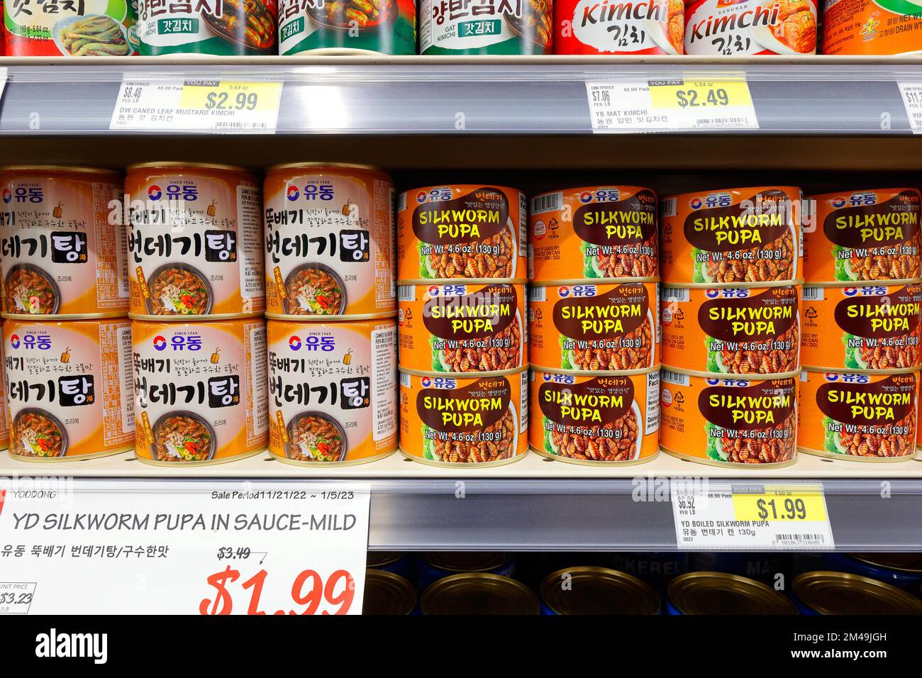 Il marchio Yoo Dong Beondegi 번데기 pupae di baco da seta bollite in stile coreano in salsa su uno scaffale di un supermercato in un negozio di alimentari asiatico. Foto Stock