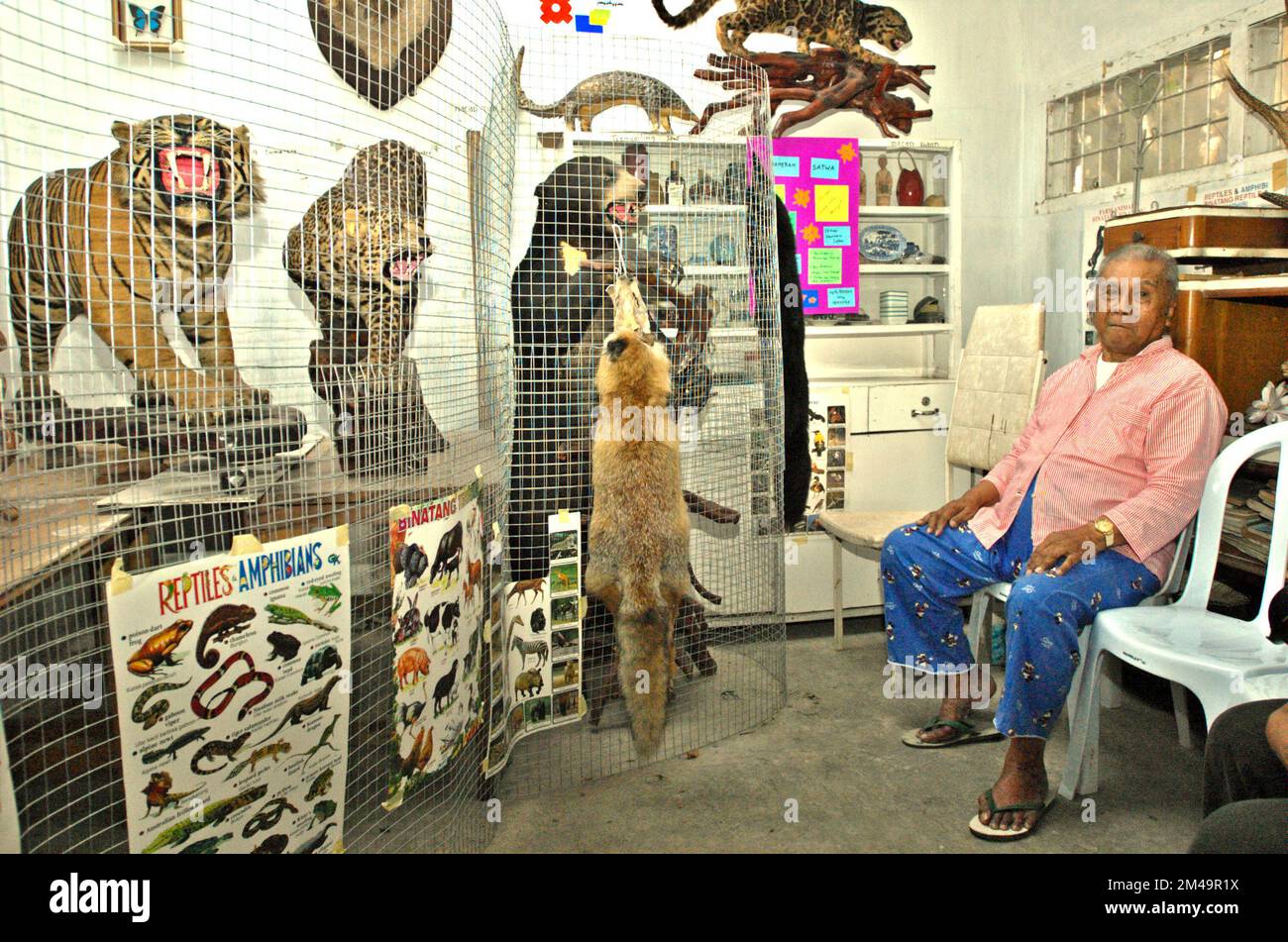 Un uomo viene fotografato con esemplari zoologici che vengono esposti in una stanza fungente da mini museo per bambini, nella sua casa a Gegerkalong, Bandung, Giava Occidentale, Indonesia. La maggior parte degli esemplari sono stati raccolti durante il suo servizio militare. Foto Stock