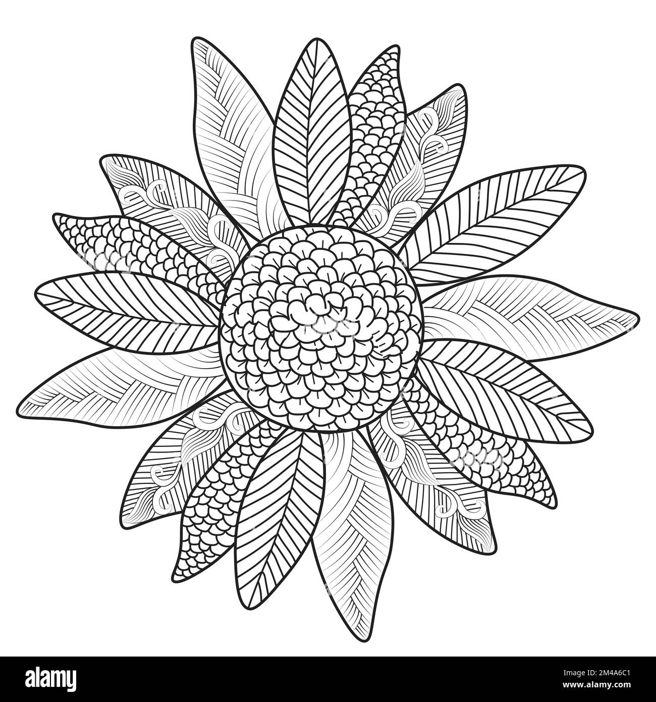 girasole di pagina da colorare zentangle con disegno decorativo di fondo fiore Illustrazione Vettoriale