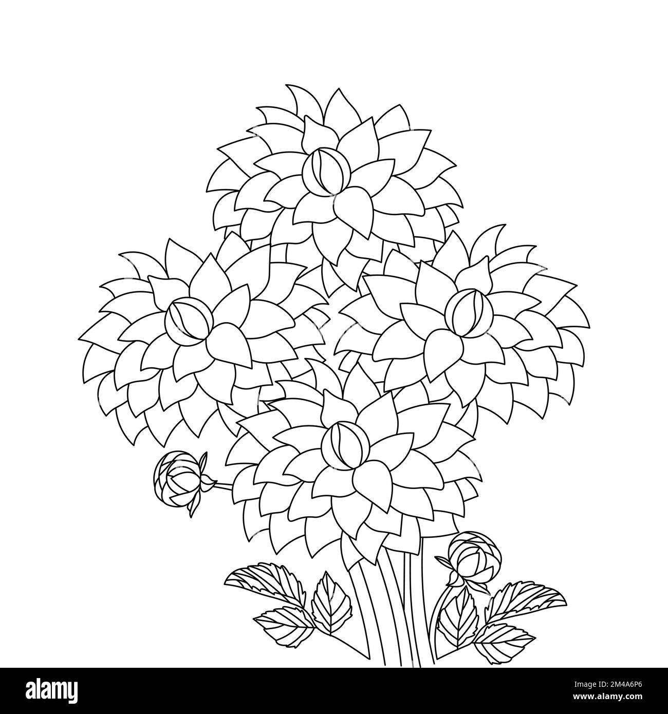dahlia illustrazione floreale con tratto a matita in doodle disegno d'arte di colorazione pagina disegno Illustrazione Vettoriale