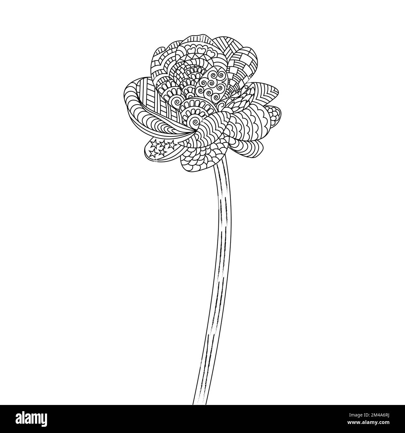 sfondo decorativo fiore zentangle per adulti colorazione pagina di facile schizzi doodle stile design Illustrazione Vettoriale