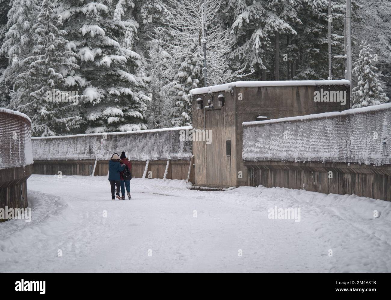 Paesaggio invernale innevato al Capilano River Regional Park vicino alla diga di Cleveland a North Vancouver, British Columbia, Canada Foto Stock