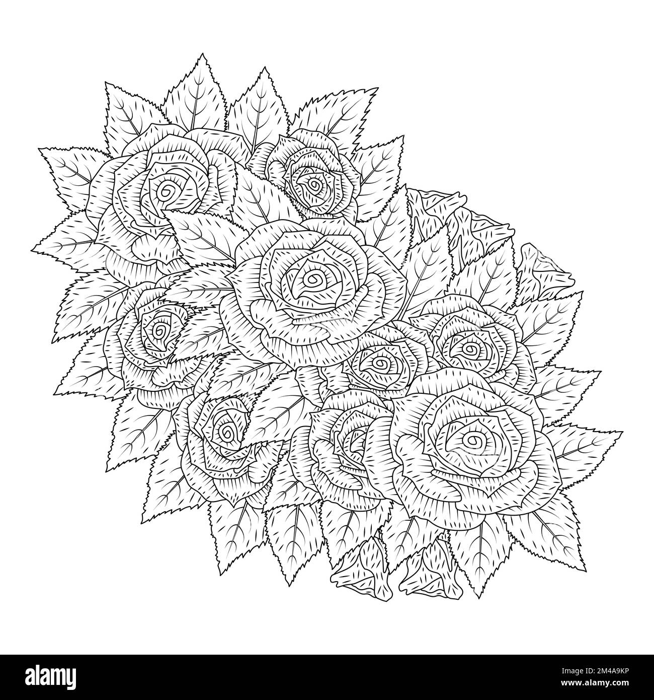 rosa nero fiore pagina da colorare adulto con rosa selvaggio decorazione bouquet matita disegno schizzo Illustrazione Vettoriale