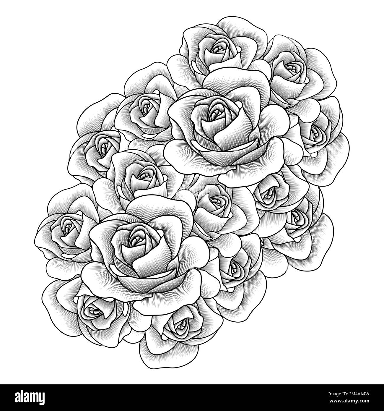 rosa illustrazione della linea di matita arte con doodle stile adulto  colorazione pagina del libro con foglie facile schizzo Immagine e  Vettoriale - Alamy