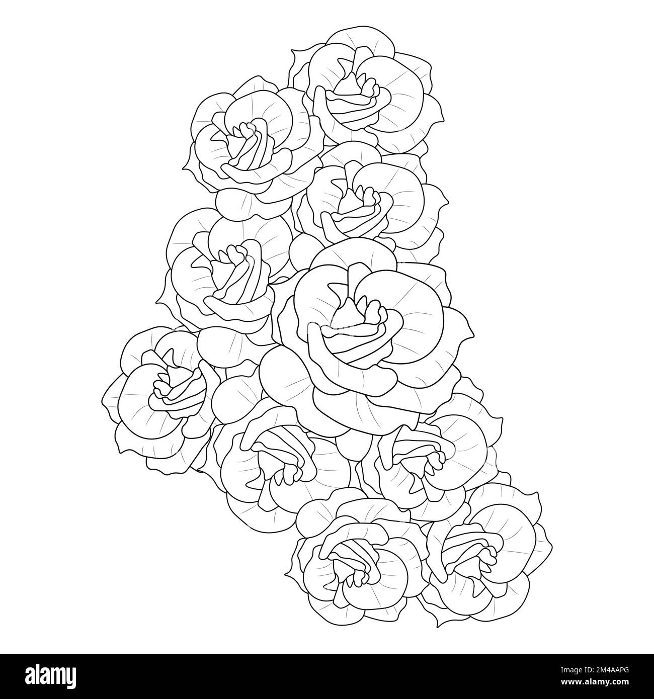 pagina del libro da colorare adulto dell'illustrazione rosa con le foglie e disegno della matita Illustrazione Vettoriale