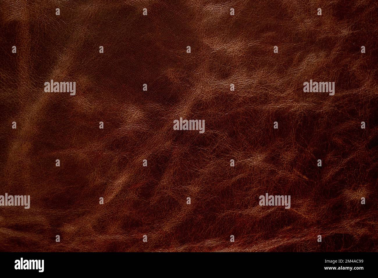 vera pelle marrone scuro come sfondo da vicino, Foto Stock