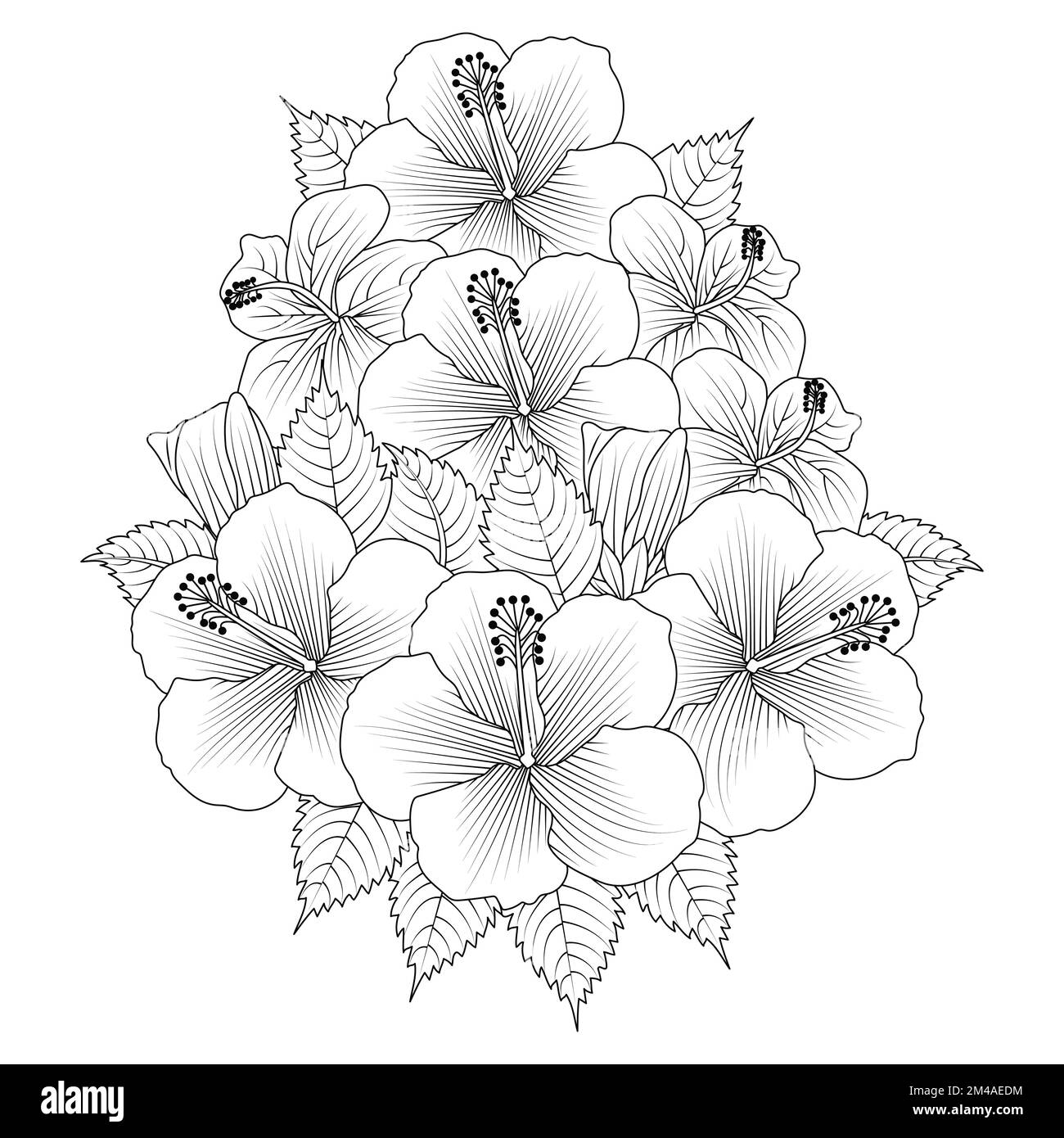fiore di hibiscus petalo fiorente e foglie con pianta di ibisco di linea di fiori selvatici art stroke design Illustrazione Vettoriale