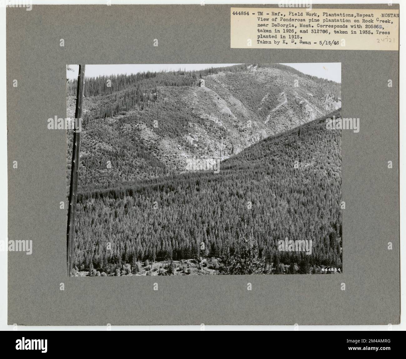 Rimboschimento: Camera Point - Montana. Fotografie relative alle foreste nazionali, alle pratiche di gestione delle risorse, al personale e alla storia culturale ed economica Foto Stock