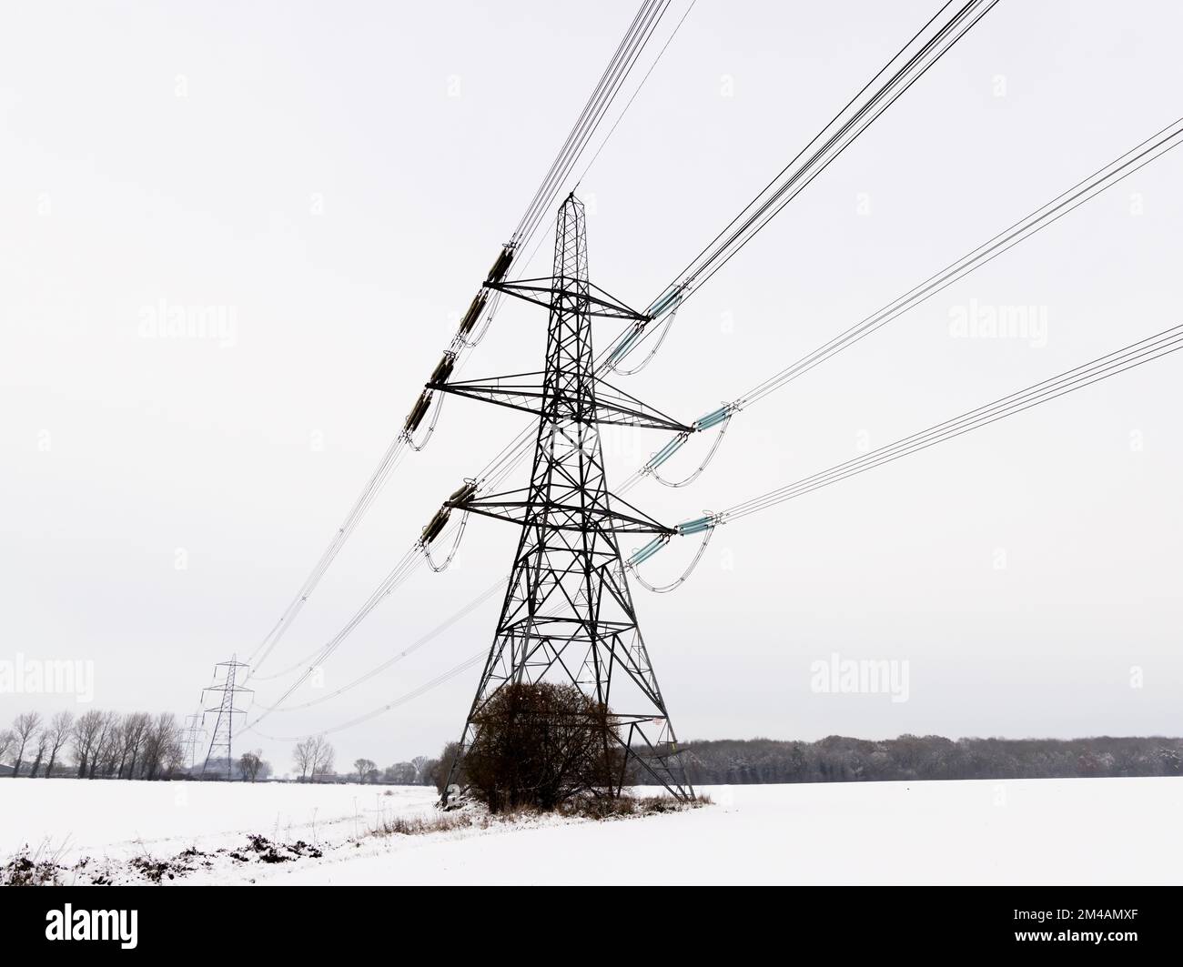 Piloni elettrici in un paesaggio invernale con neve. REGNO UNITO Foto Stock