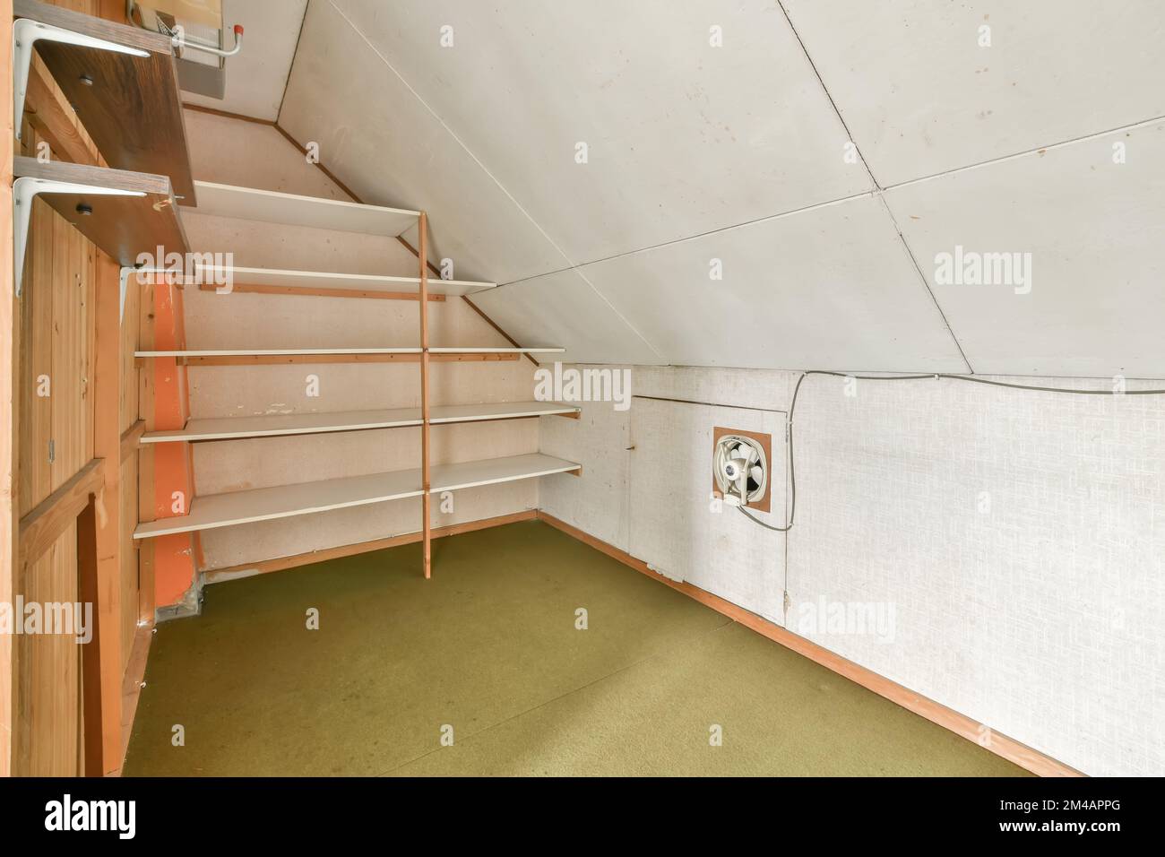 Camera vuota moderna con ripiani e pareti bianche Foto Stock