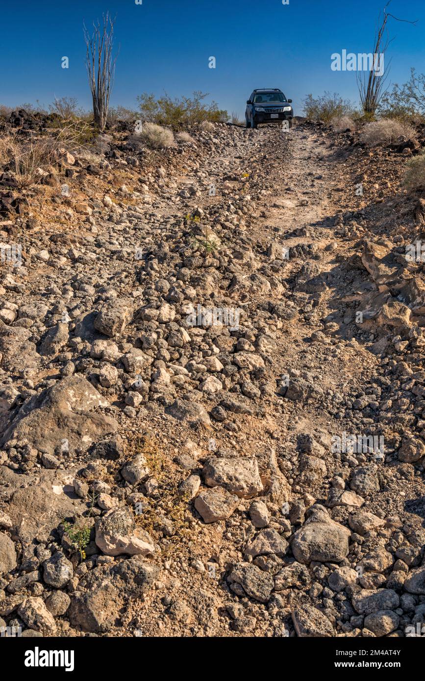 Strada sterrata attraverso le rocce del flusso lavico di Pinacate, El Camino del Diablo, Cabeza Prieta Natl Wildlife Refuge, Arizona, USA Foto Stock