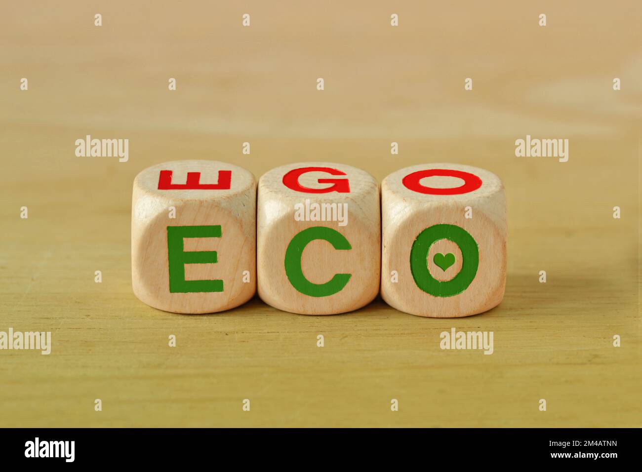 Blocchi di legno con la parola Eco ed Ego - concetto di ecologia e conservazione ambientale Foto Stock