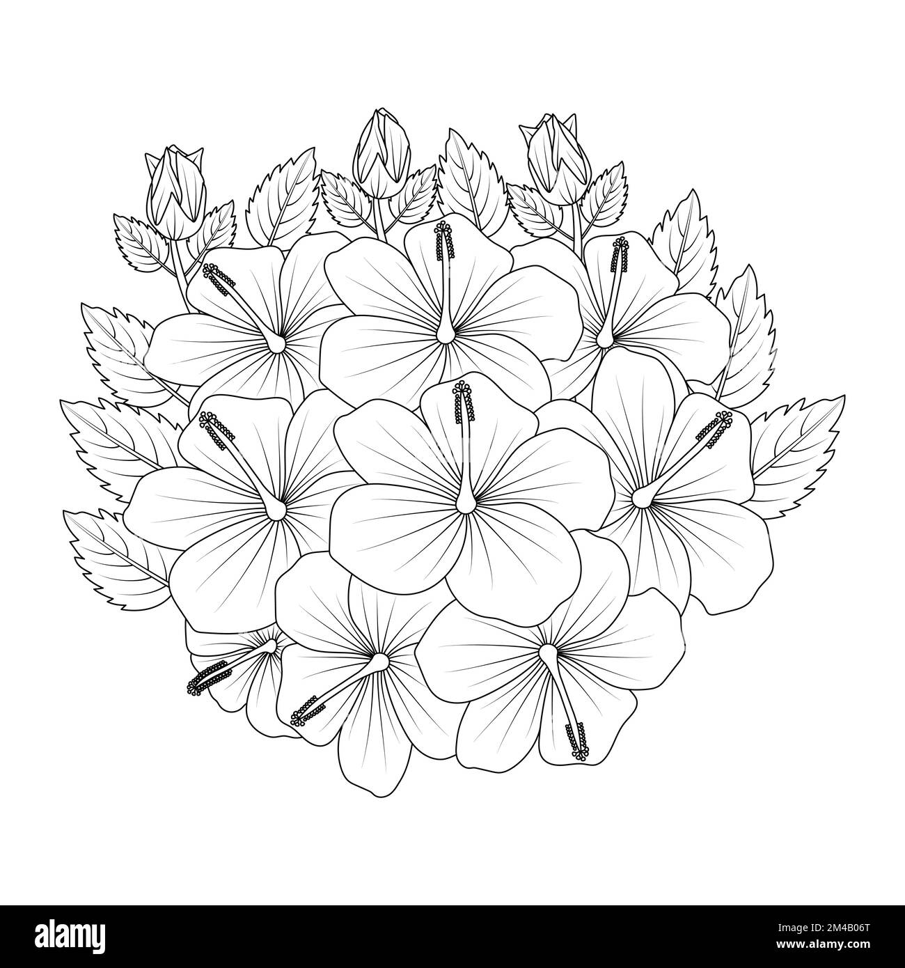 rosa di sharon fiore colorazione pagina illustrazione con linea art tratto di bianco e nero disegnato a mano Illustrazione Vettoriale