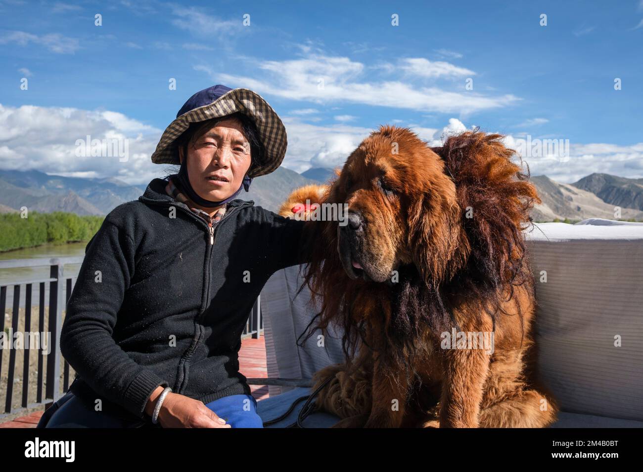 Una donna tibetana posa con il suo cane (mastiff tibetano) che usa come attrazione turistica. Regione autonoma del Tibet. Cina. Foto Stock
