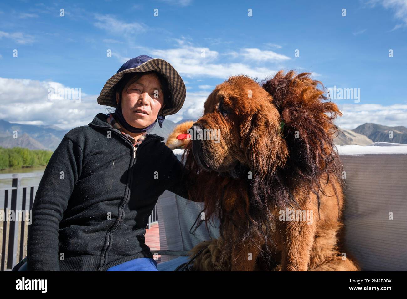 Una donna tibetana posa con il suo cane (mastiff tibetano) che usa come attrazione turistica. Regione autonoma del Tibet. Cina. Foto Stock