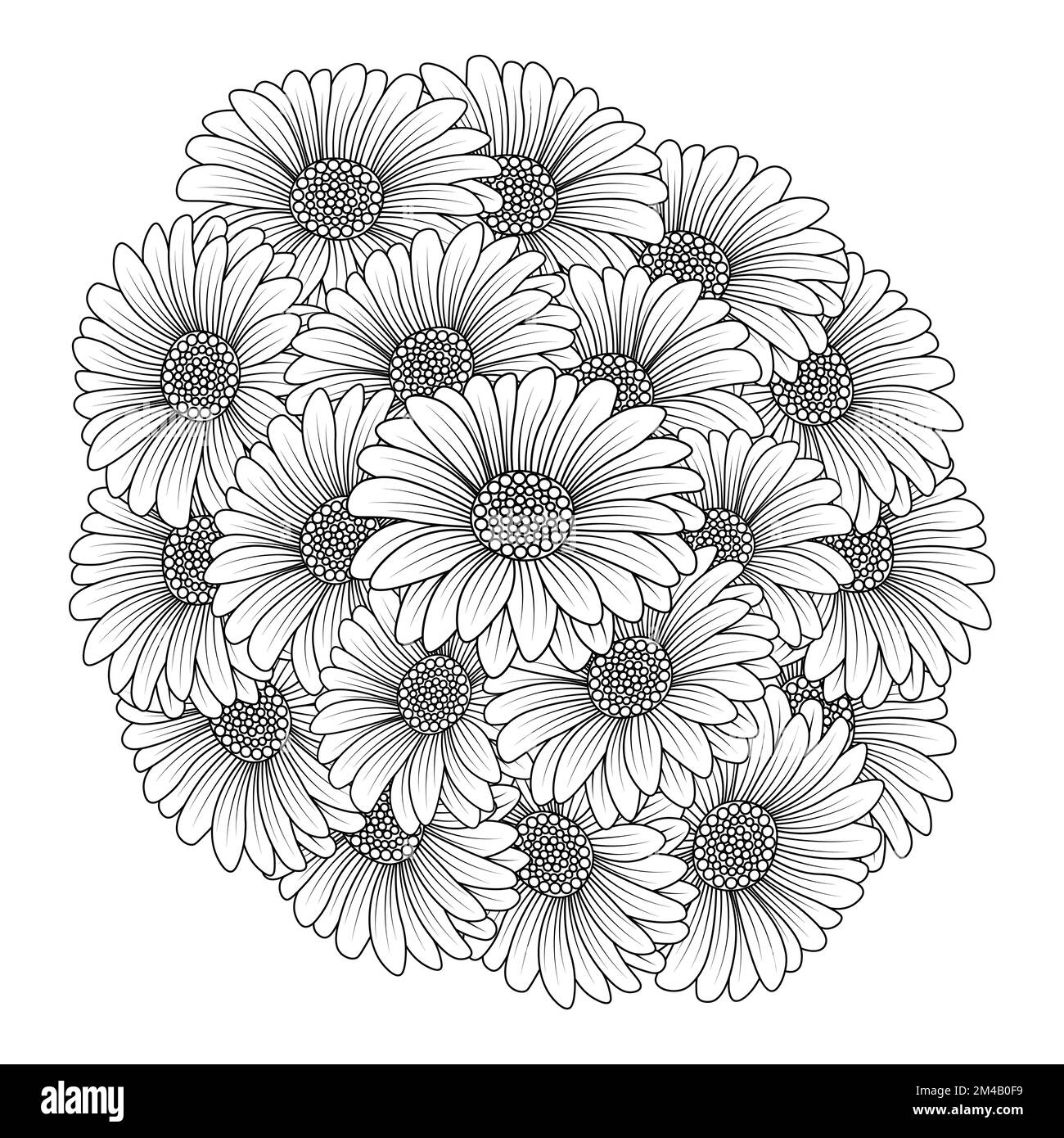 design della pagina per colorare i fiori di camomilla e margherita con grafica vettoriale dettagliata Illustrazione Vettoriale