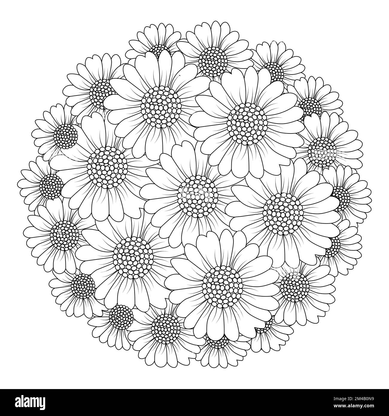 design della pagina per colorare i fiori di camomilla e margherita con grafica vettoriale dettagliata Illustrazione Vettoriale
