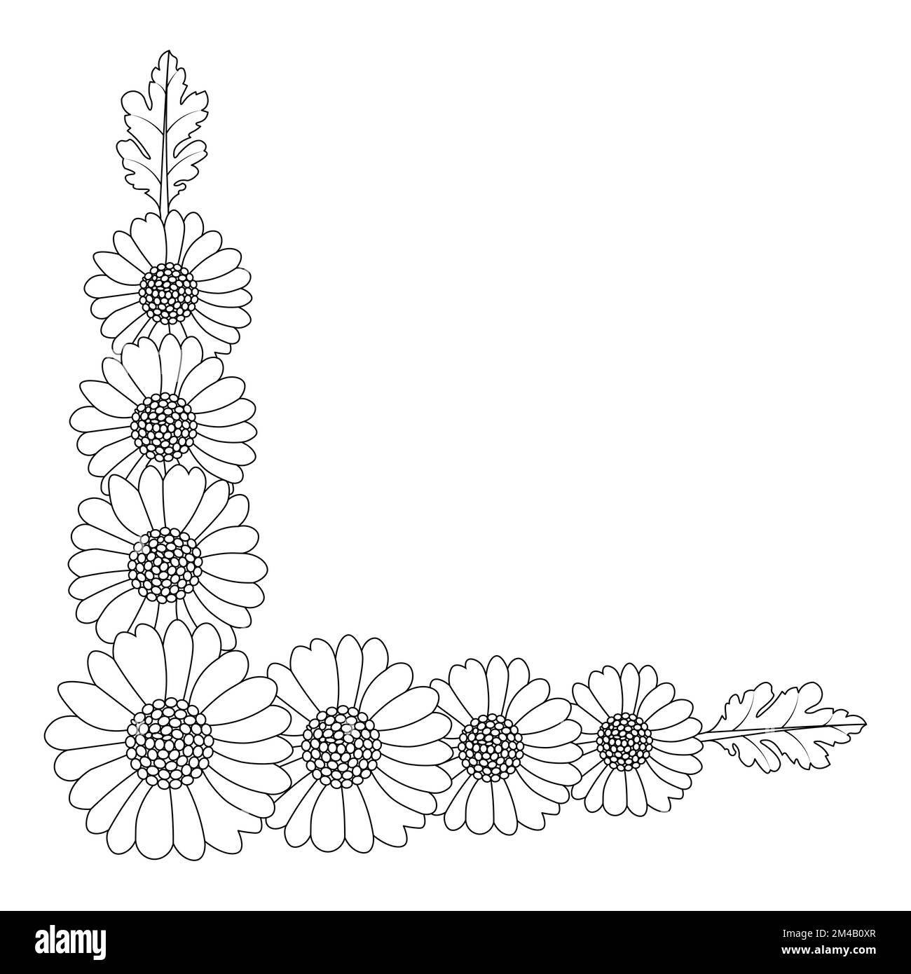 design della pagina per colorare i fiori di camomilla e margherita con grafica vettoriale dettagliata Illustrazione Vettoriale