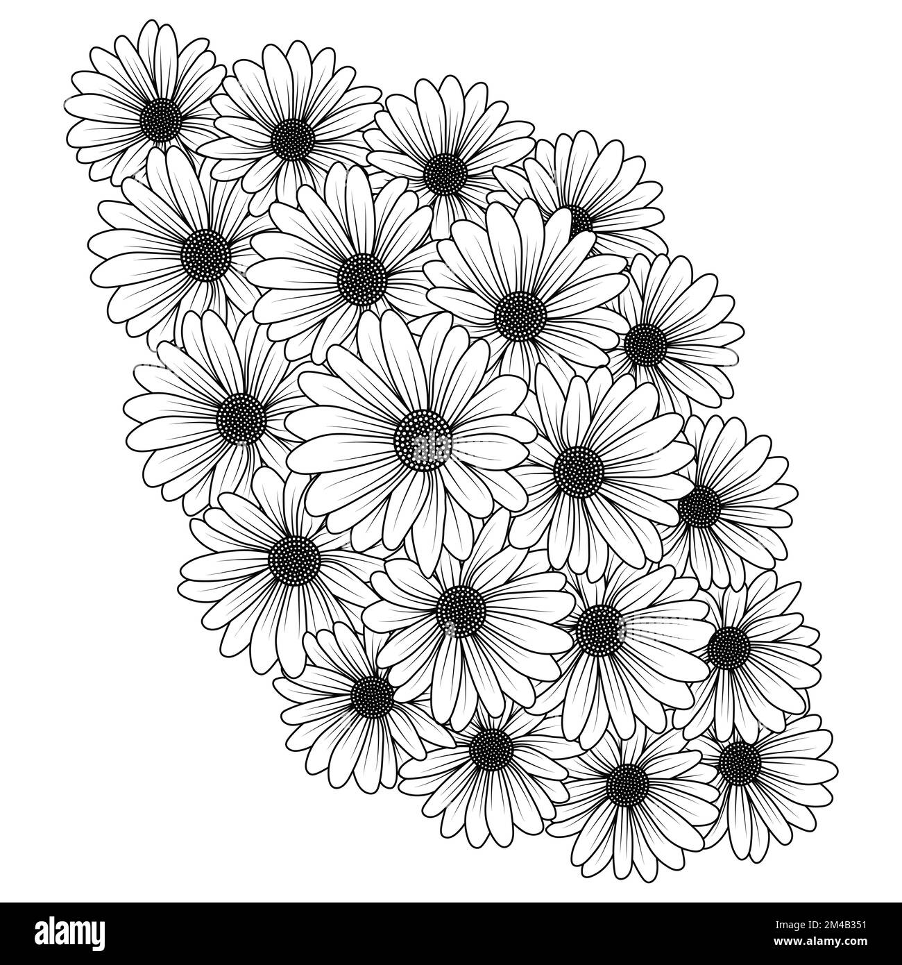 margherite fiore margherite disegno vettoriale di contorno nella pagina dettagliata di colorazione di arte di linea Illustrazione Vettoriale