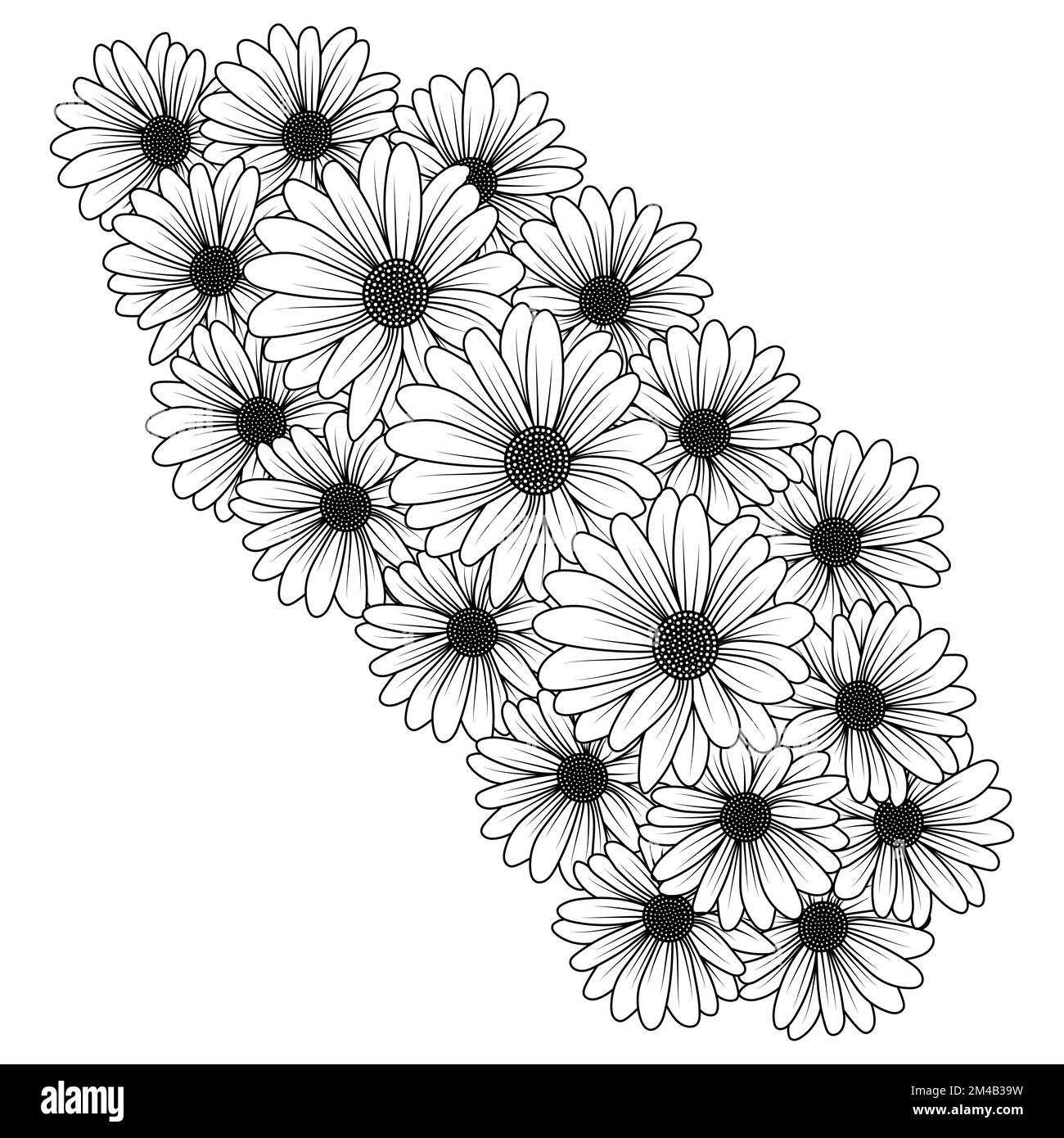 margherite fiore margherite disegno vettoriale di contorno nella pagina dettagliata di colorazione di arte di linea Illustrazione Vettoriale